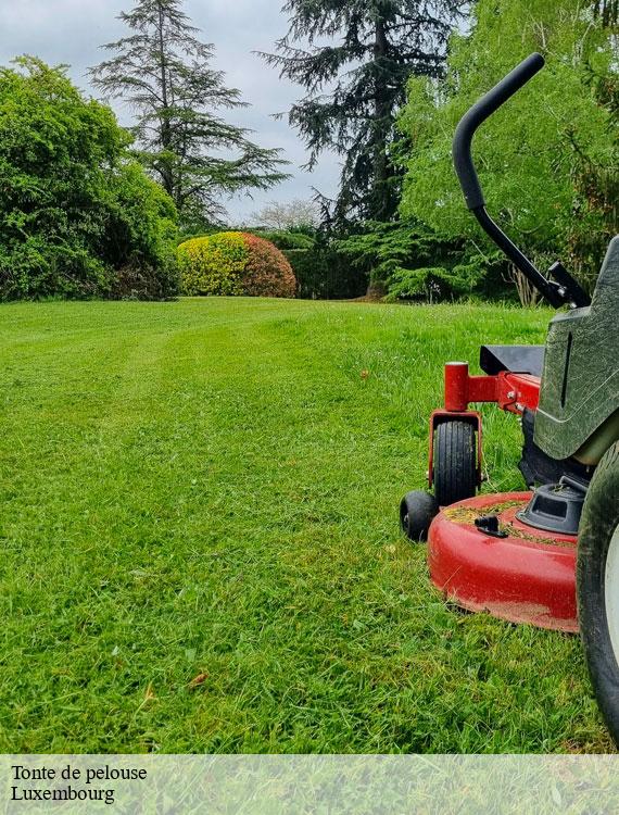 tonte-de-pelouse