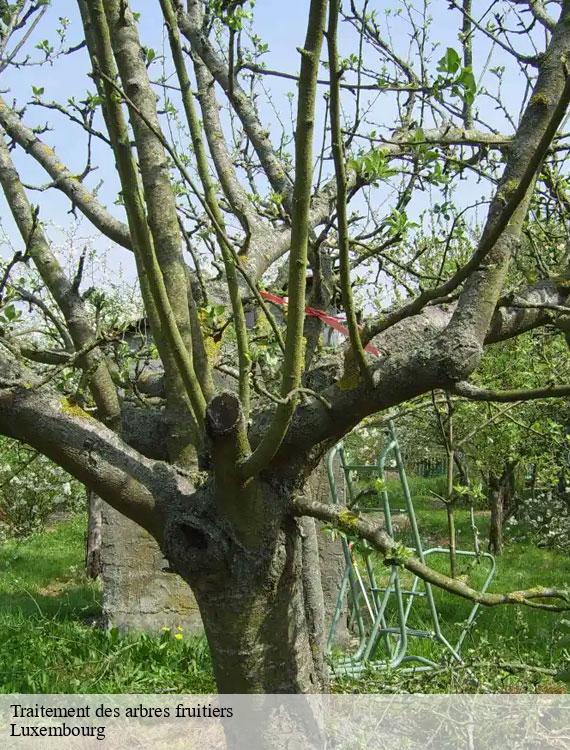 traitement-des-arbres-fruitiers