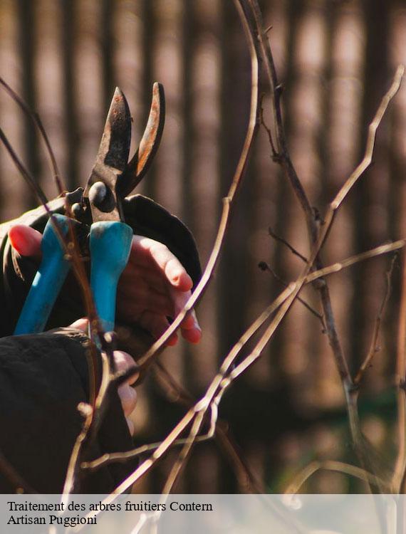traitement-des-arbres-fruitiers