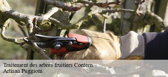 traitement-des-arbres-fruitiers