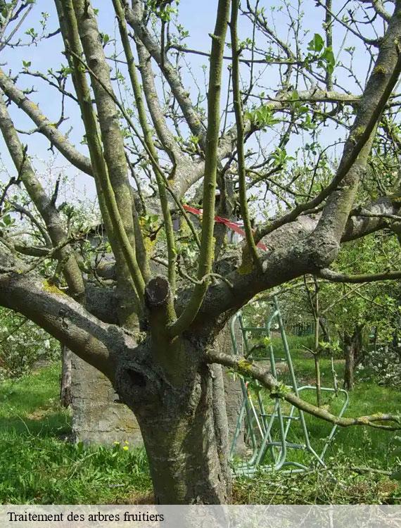 traitement-des-arbres-fruitiers