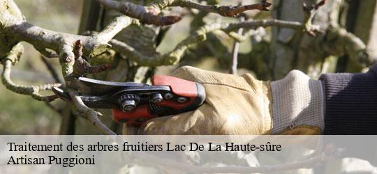 traitement-des-arbres-fruitiers