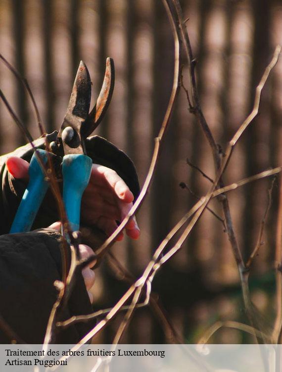 traitement-des-arbres-fruitiers