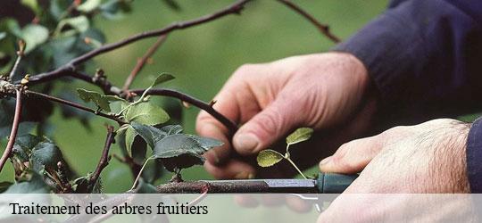 traitement-des-arbres-fruitiers
