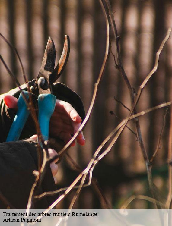 traitement-des-arbres-fruitiers