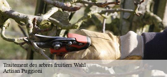 traitement-des-arbres-fruitiers