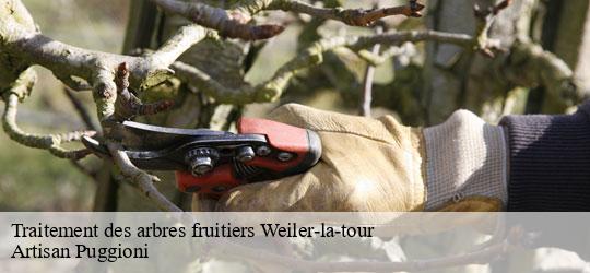 traitement-des-arbres-fruitiers