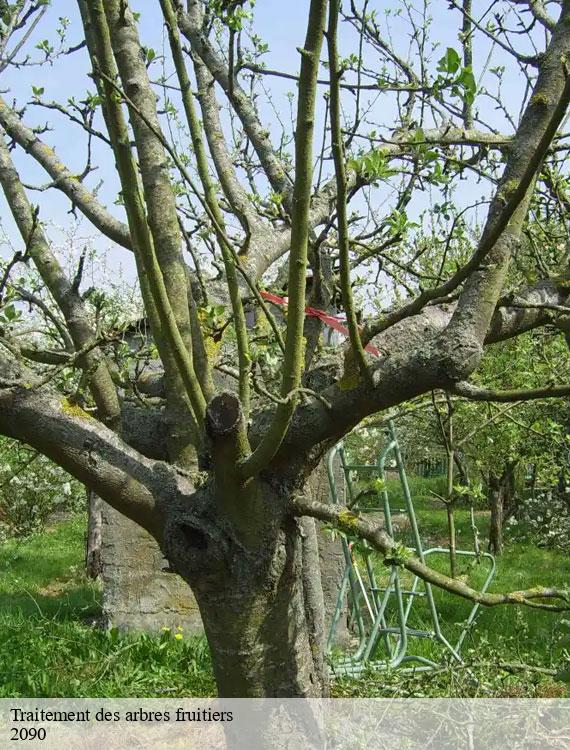 traitement-des-arbres-fruitiers