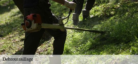 debroussaillage