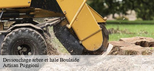 dessouchage-arbre-et-haie