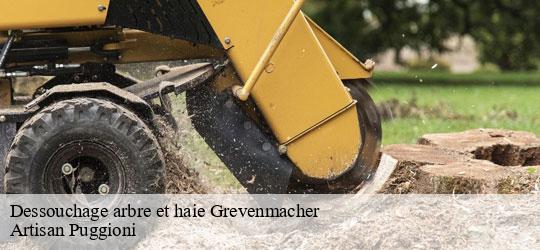dessouchage-arbre-et-haie