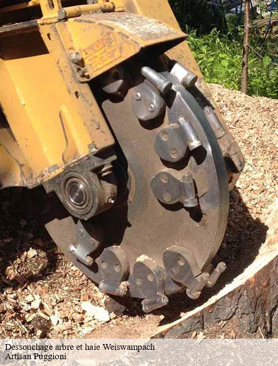 dessouchage-arbre-et-haie