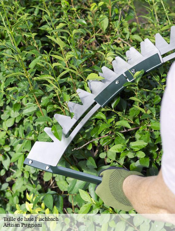 taille-de-haie