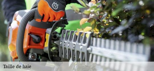 taille-de-haie