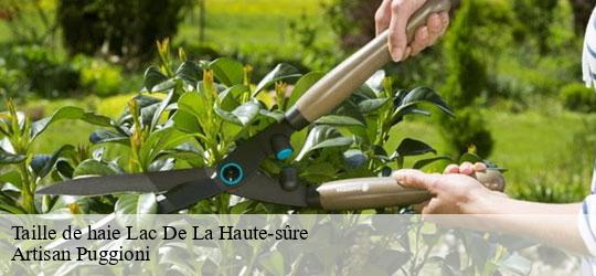 taille-de-haie
