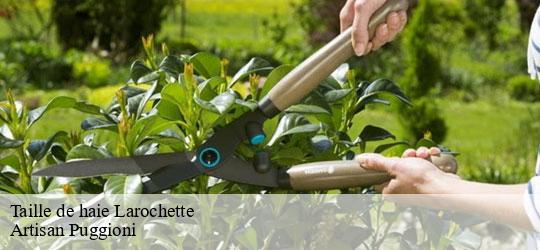 taille-de-haie