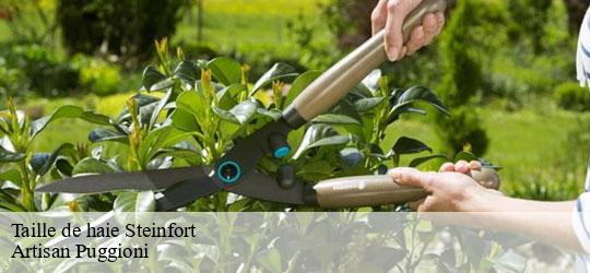taille-de-haie