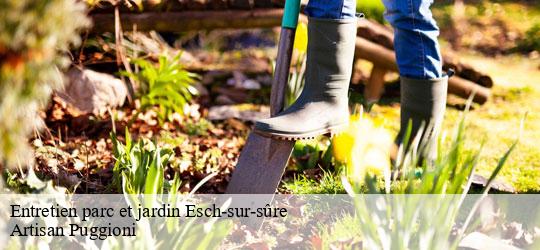 entretien-parc-et-jardin