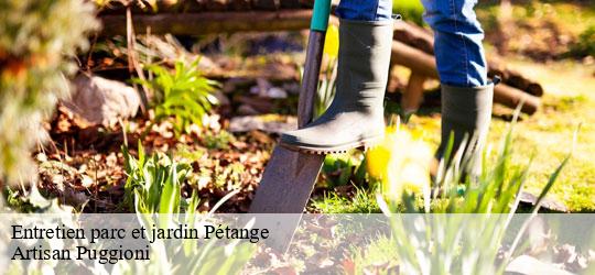 entretien-parc-et-jardin