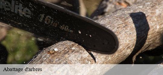 abattage-d-arbres