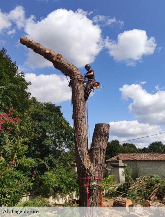 abattage-d-arbres