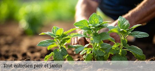 tout-entretien-parc-et-jardin