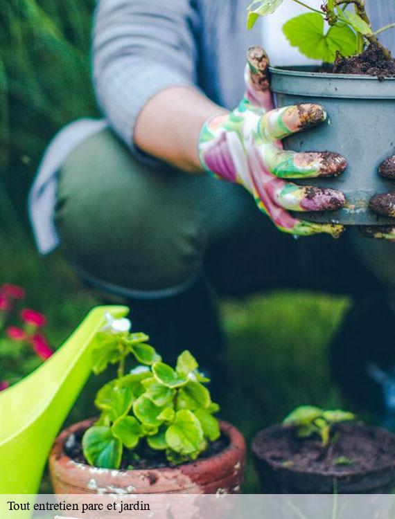 tout-entretien-parc-et-jardin