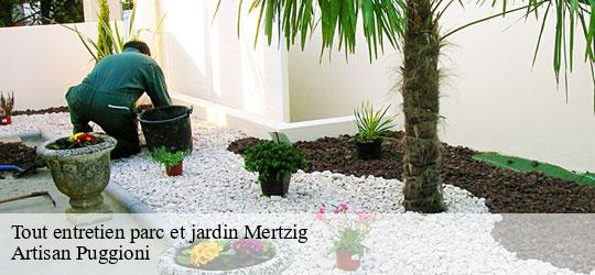 tout-entretien-parc-et-jardin