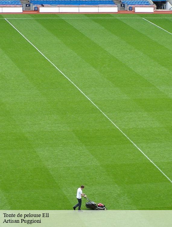 tonte-de-pelouse