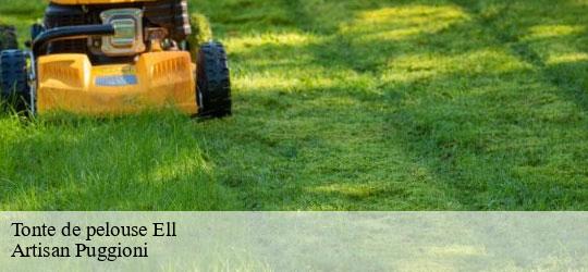 tonte-de-pelouse