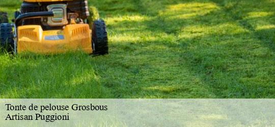 tonte-de-pelouse