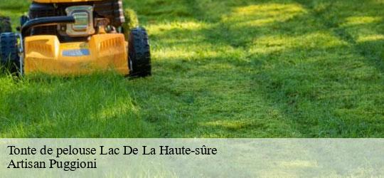 tonte-de-pelouse