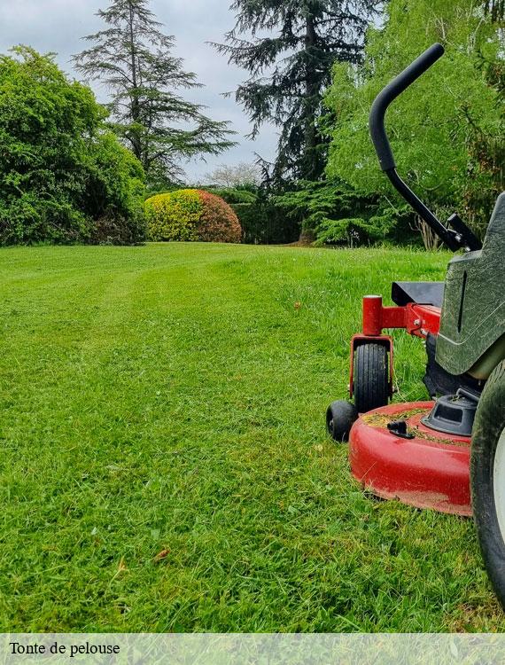 tonte-de-pelouse