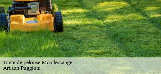 tonte-de-pelouse