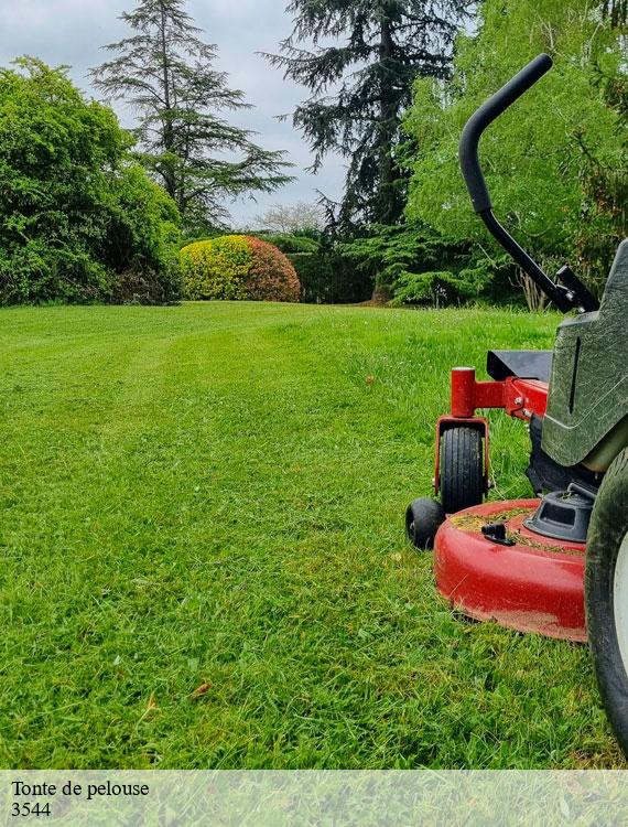 tonte-de-pelouse