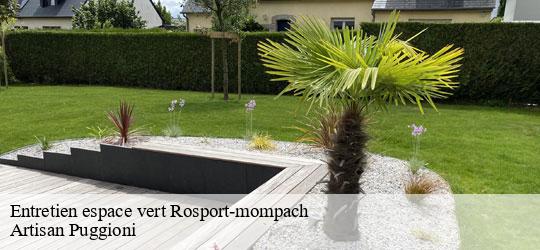 entretien-espace-vert